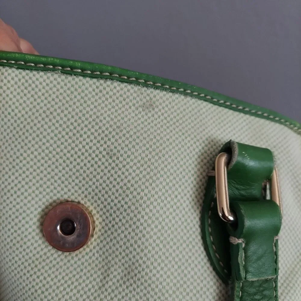 Dooney & Bourke Green Satchel